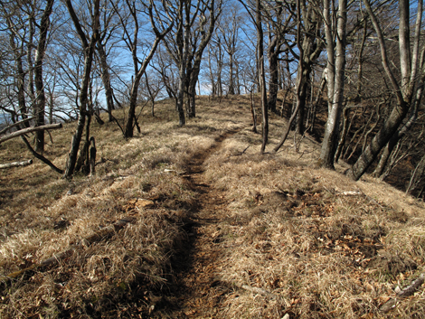 20171207hike (256)